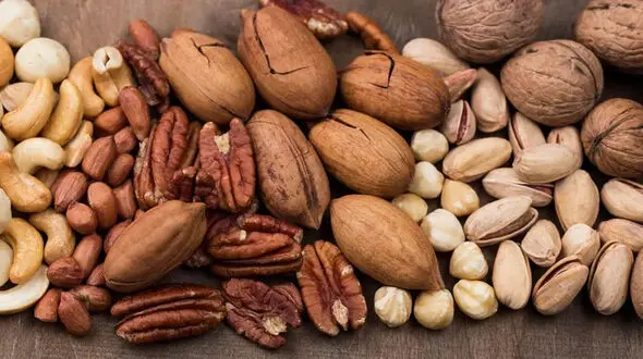 مفیدترین مغزهای آجیلی برای سلامت بدن و خواص آنها