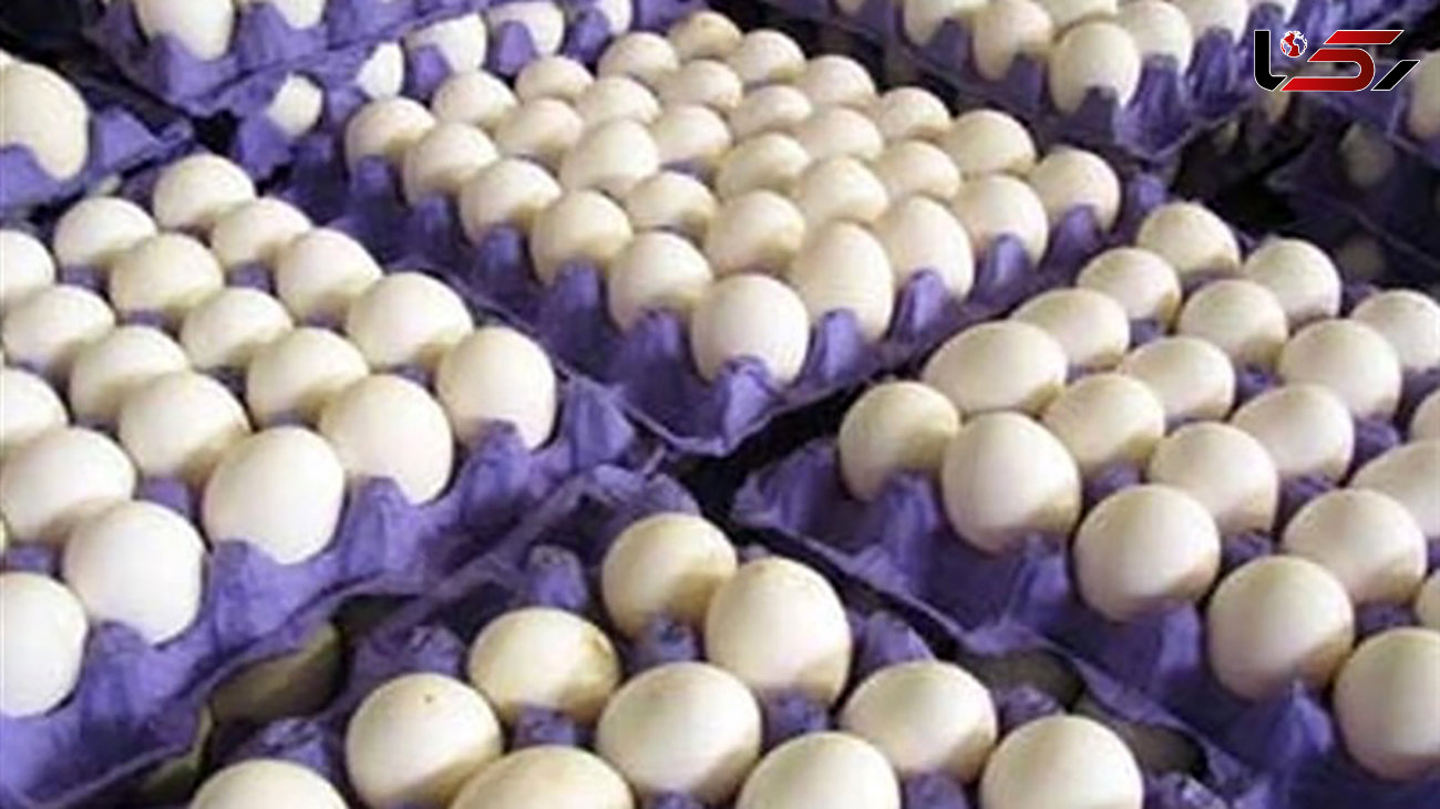 ممانعت از واردات ۱۰ هزار تن تخم مرغ قیمت این کالا را افزایش داد