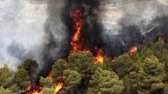 تدوام آتش‌سوزی گسترده در جنگل‌های لرستان/ 99 درصد آتش‌سوزی‌ها عمدی است