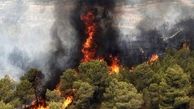 از ابتدای سال 1403 تاکنون بیش از 52 مرتبه جنگل ها و مراتع ایران در آتش سوختند