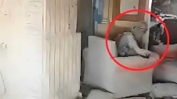 فیلم دیده نشده آخرین سکانس نبرد یحیی سنوار که تنها و زخمی بود  !