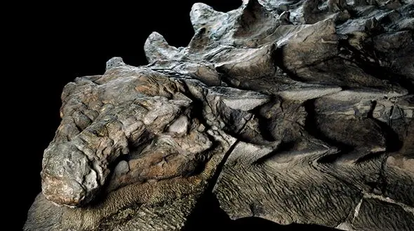 فسیل دایناسور 130 میلیون ساله کشف شد+عکس