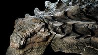 فسیل دایناسور 130 میلیون ساله کشف شد+عکس