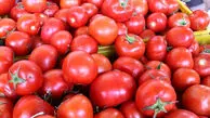 عوارض و فواید مصرف گوجه فرنگی 