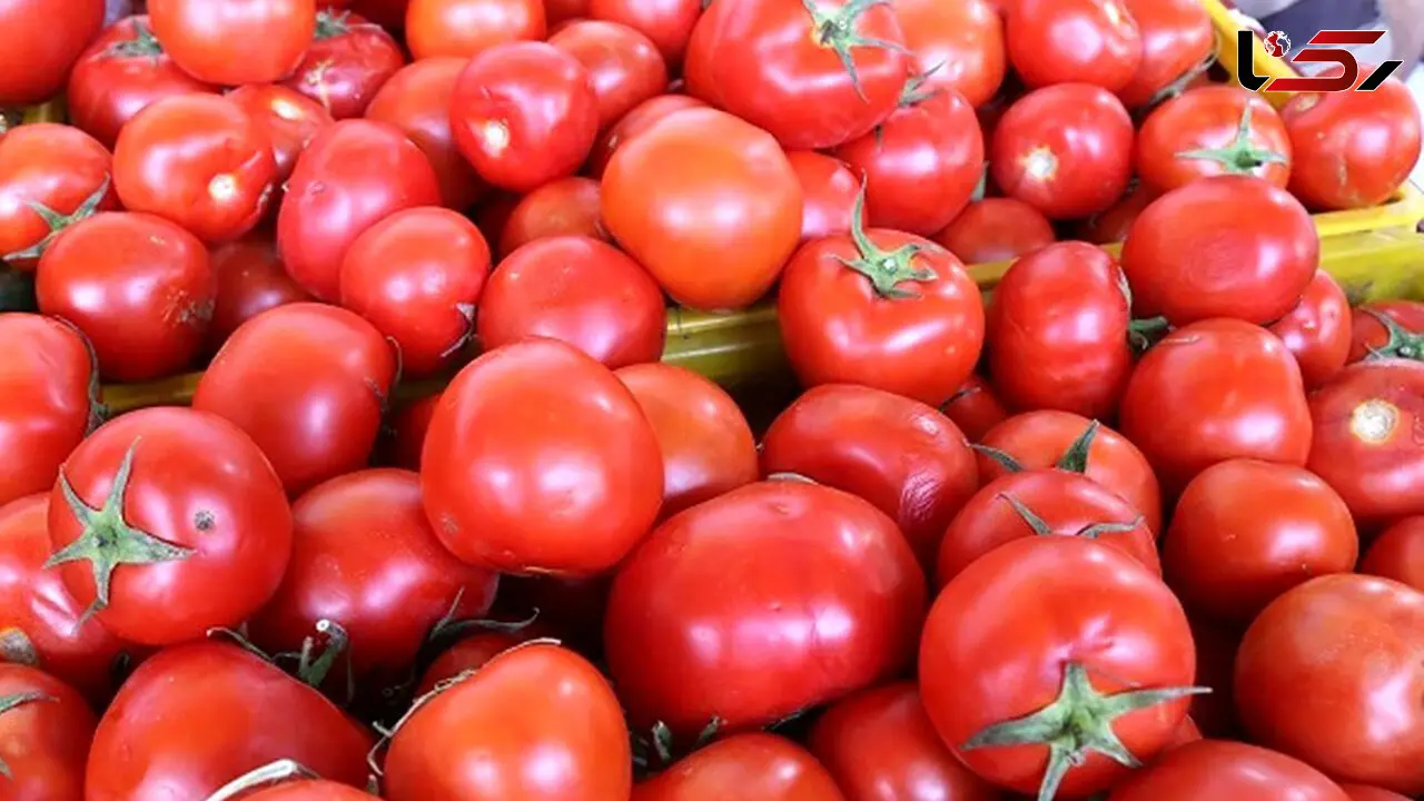 عوارض و فواید مصرف گوجه فرنگی 