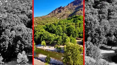 فیلم چشم انداز دیدنی بیشه پیرتو دورود