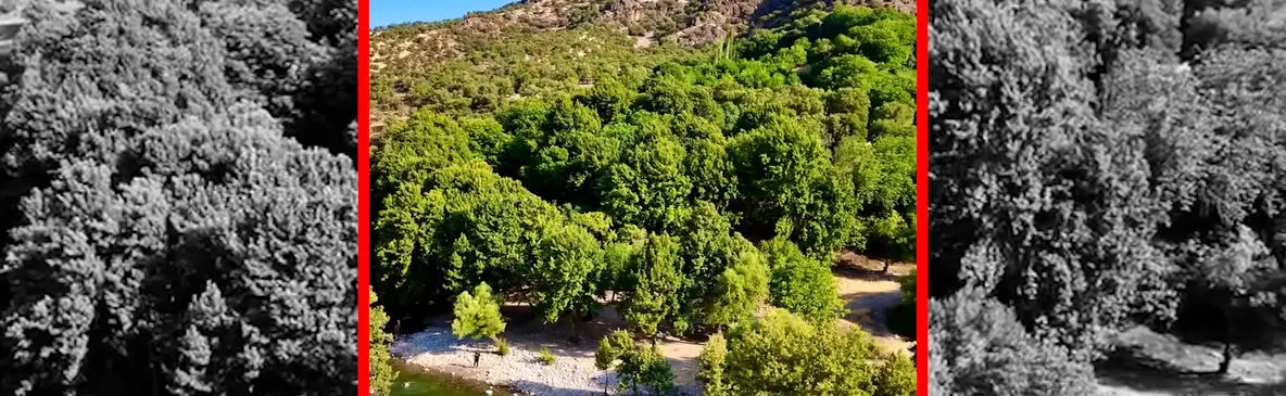 فیلم چشم انداز دیدنی بیشه پیرتو دورود