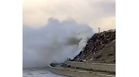  آتش‌سوزی در پارک ارم تکذیب شد 