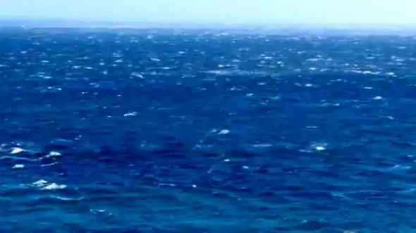 شیرجه زیبای مرغان ماهی‌خوار + فیلم