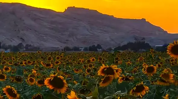 فال ابجد 8 آذر + فیلم