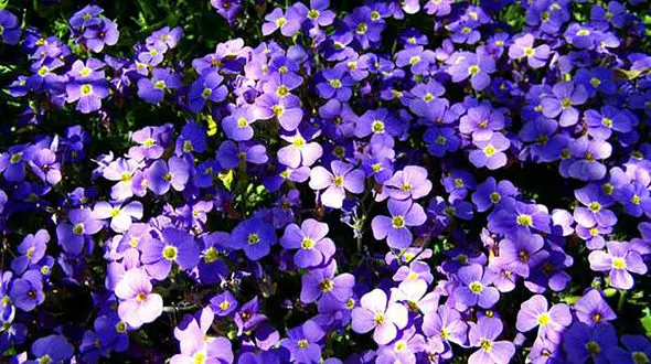 فال ابجد امروز / 7 مهر ماه + فیلم 