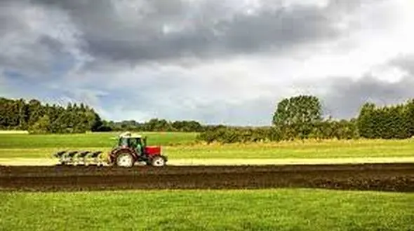 افزایش 75درصدی سطح کشت مزارع دیم در طرح جهش تولید ایلام