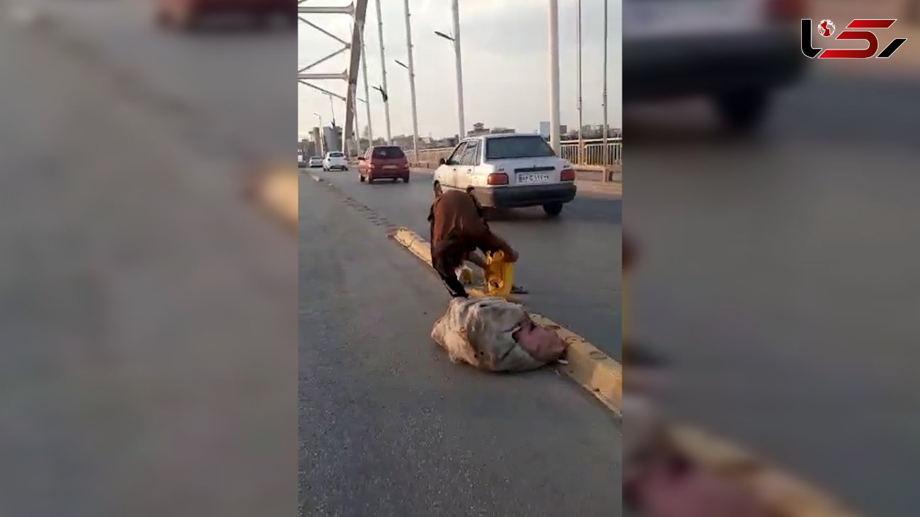 سارق جداکننده های پل جدید خرمشهر دستگیر شد + فیلم