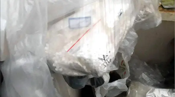 اطلاعات سپاه " دکتر " میلیاردر را دستگیر کرد + عکس