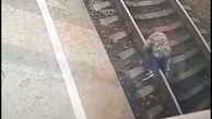 ببینید / پیرزن روی ریل دراز کشید و قطار از روی او رد شد! + فیلم 