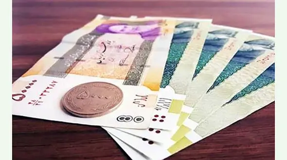 نتیجه بررسی اعتراضات حذف یارانه‌ ها تا 20 تیر ماه اعلام می شود؟