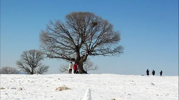 ۱۱ کوهنورد مفقود شده در منطقه کلاترزان پیدا شدند