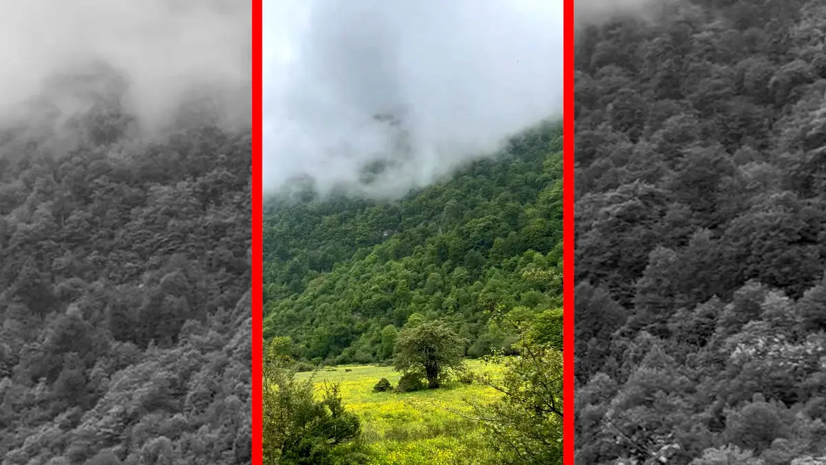 فیلم منظره سرسبز دشت دریاسر در شمال ایران