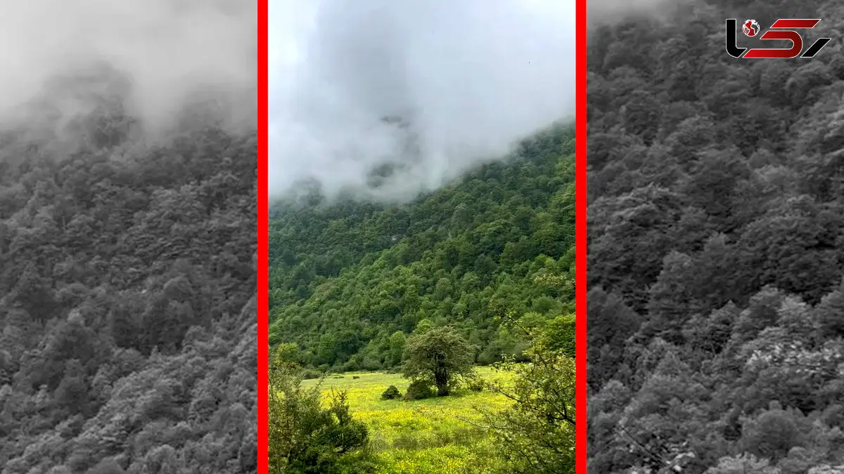 فیلم منظره سرسبز دشت دریاسر در شمال ایران