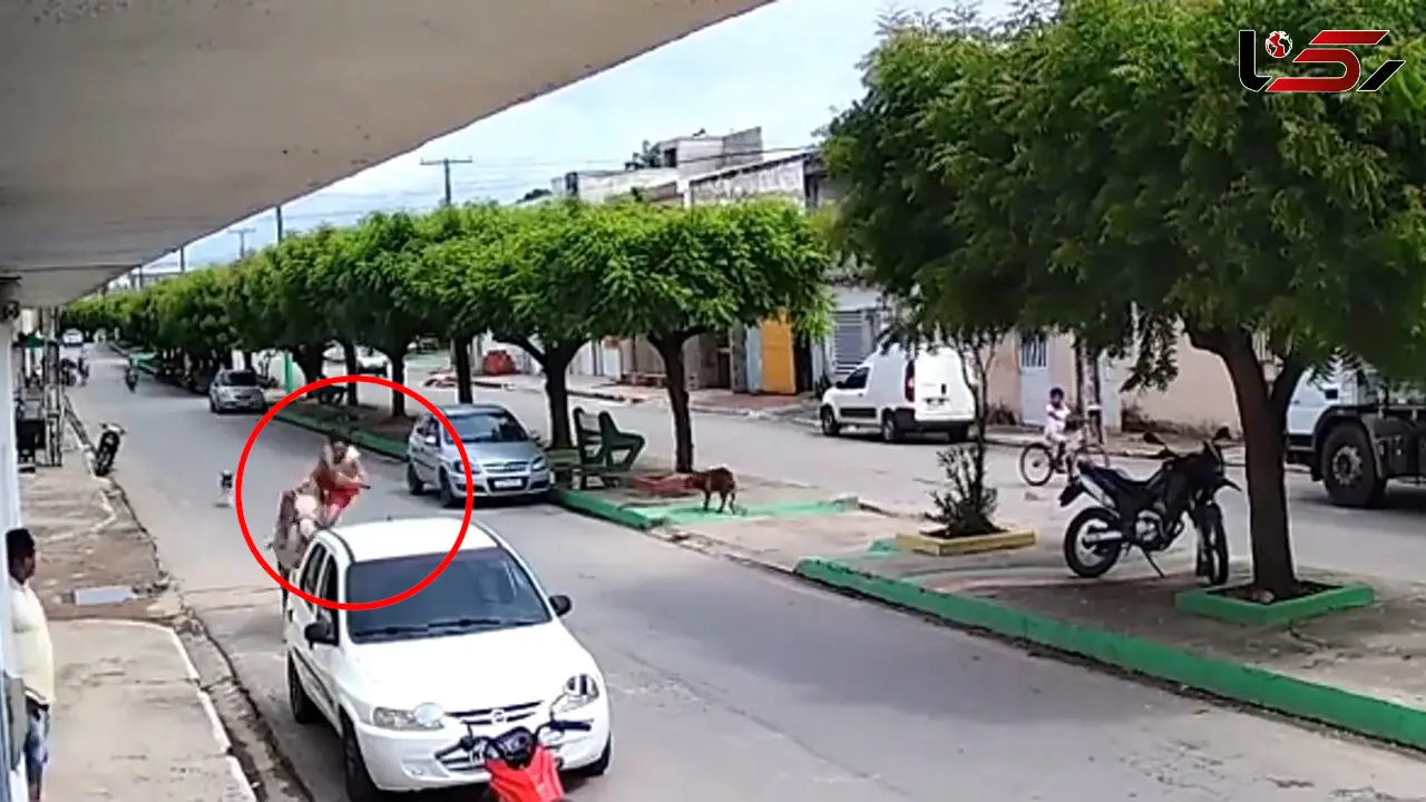 تصادف عجیب مرد اسب سوار با ماشین پارک شده / سگ بازیگوش همه را شوکه کرد + فیلم