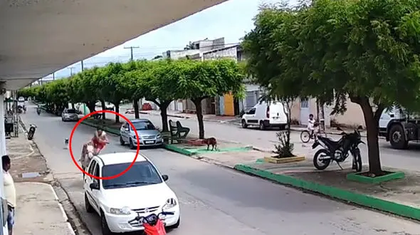 تصادف عجیب مرد اسب سوار با ماشین پارک شده / سگ بازیگوش همه را شوکه کرد + فیلم