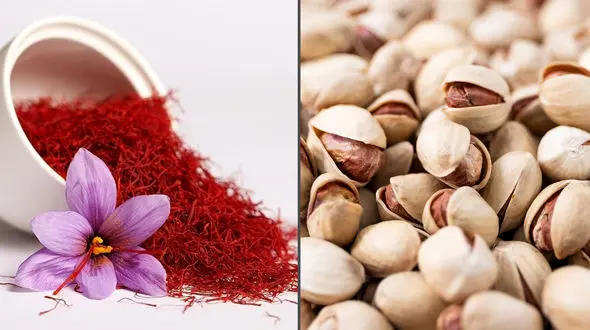 جایگاه پسته رفسنجان در جهان از دست رفت / تولید زعفران ایران نصف شد