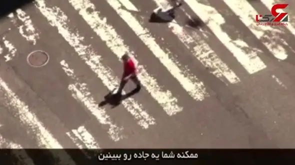  حیوانات چطوری دنیا رو می بینند؟ + فیلم