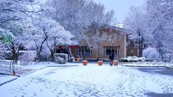  ایران سفید شد، اما عادلانه نه! / کشور دو تکه شد؛ یک‌جا زیر برف خفه شد، یک‌جا فقط تماشا کرد + آمار