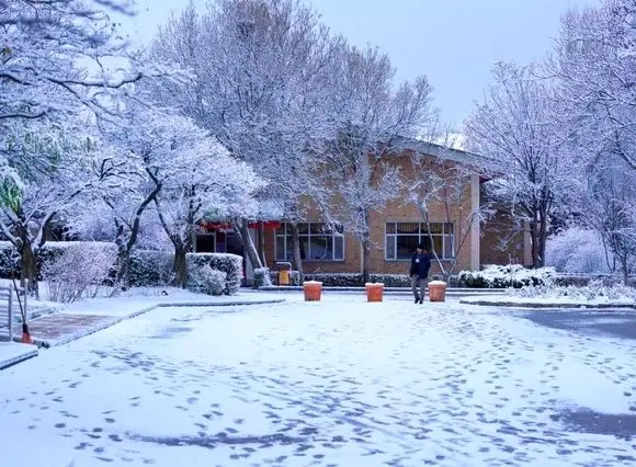  ایران سفید شد، اما عادلانه نه! / کشور دو تکه شد؛ یک‌جا زیر برف خفه شد، یک‌جا فقط تماشا کرد + آمار
