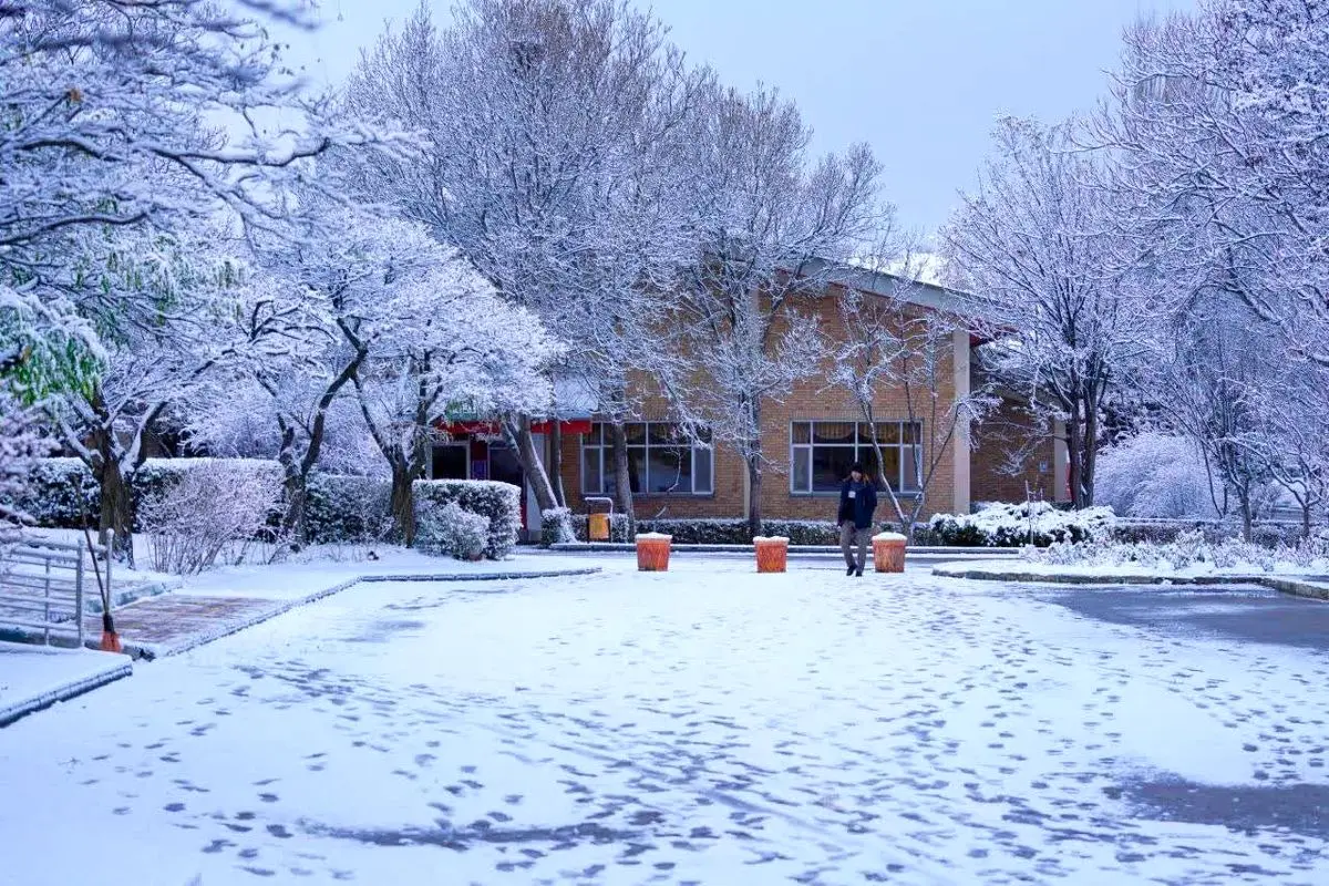 بارش برف در مرز کیله در سردشت