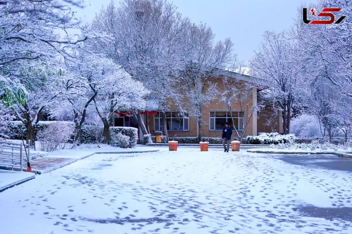  ایران سفید شد، اما عادلانه نه! / کشور دو تکه شد؛ یک‌جا زیر برف خفه شد، یک‌جا فقط تماشا کرد + آمار