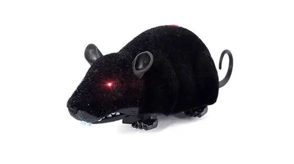 این موش ها در زلزله به داد مردم می رسند + فیلم باورنکردنی