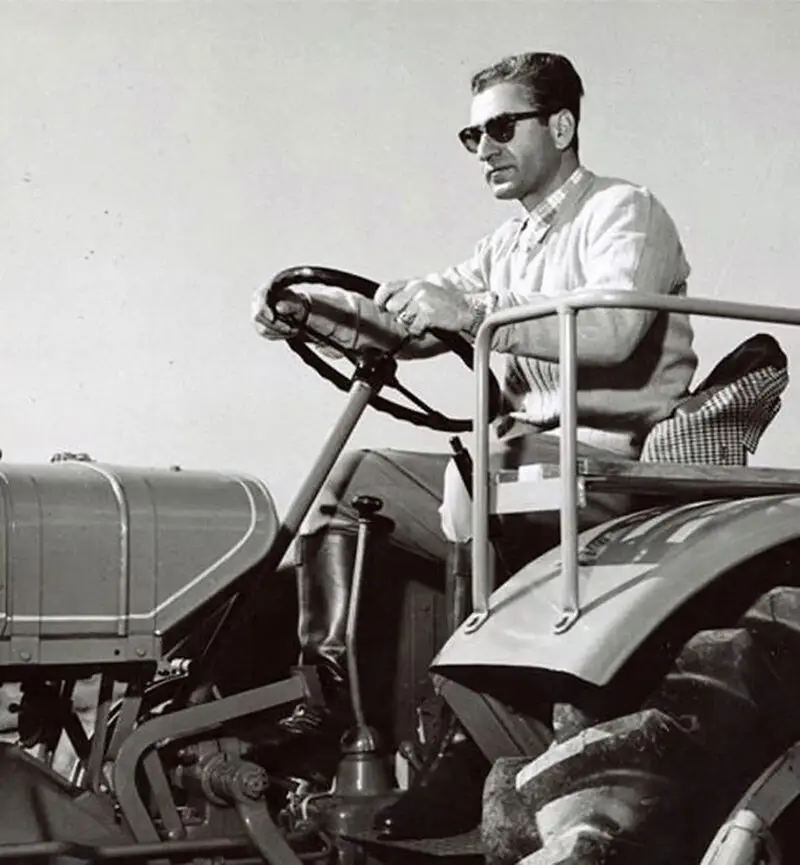 تما