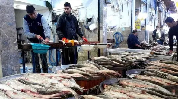 قیمت انواع ماهی در مقایسه با قیمت‌ مرغ و گوشت 