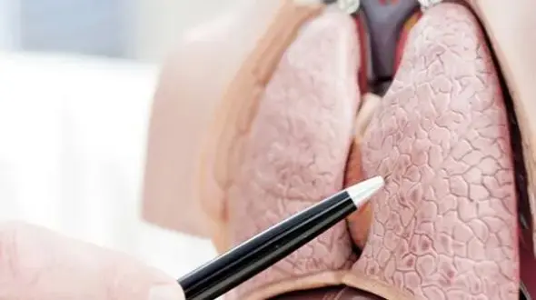 تقویت ریه با این 5 تمرین ساده و کاربردی