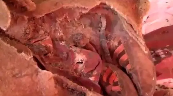 کشف مومیایی 1500 ساله که کفش آدیداس به پا داشت+عکس