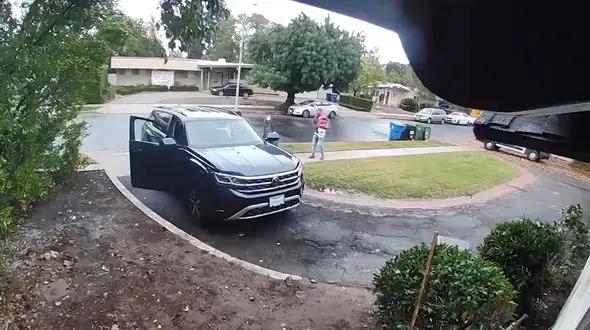 فیلم لحظه حمله گرگ صحرایی به کودک نوپا در خارج از خانه