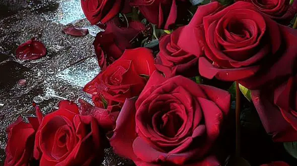 فال ابجد محشر 14 تیر + فیلم