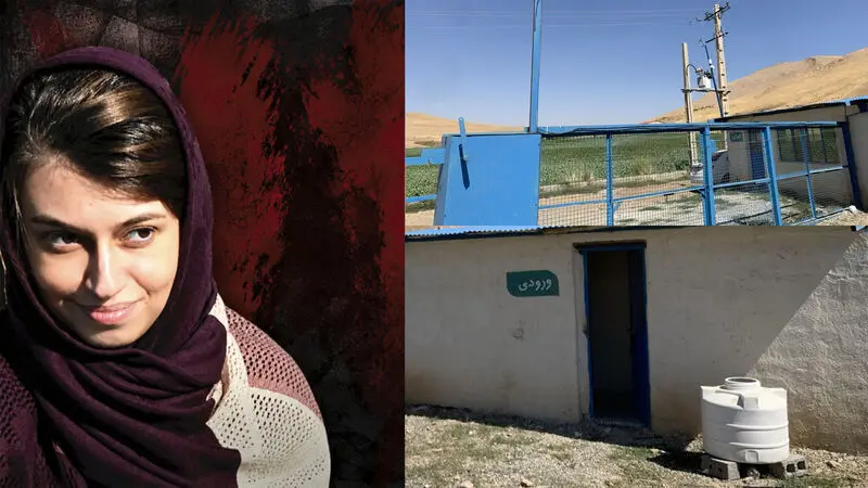نیلوفر مجاوری