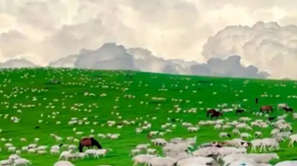 از طبیعت زیبای مغولستان تا شهر زیبایی های کهگیلویه و بویر احمد 