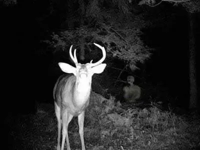 نام های معروف ترین جن ها که مذکر و مونث هستند ! / ریختن آب داغ راهی برای فرار اجنه ...