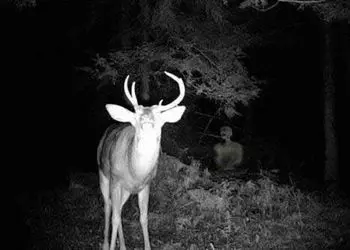 نام های معروف ترین جن ها که مذکر و مونث هستند ! / ریختن آب داغ راهی برای فرار اجنه ...