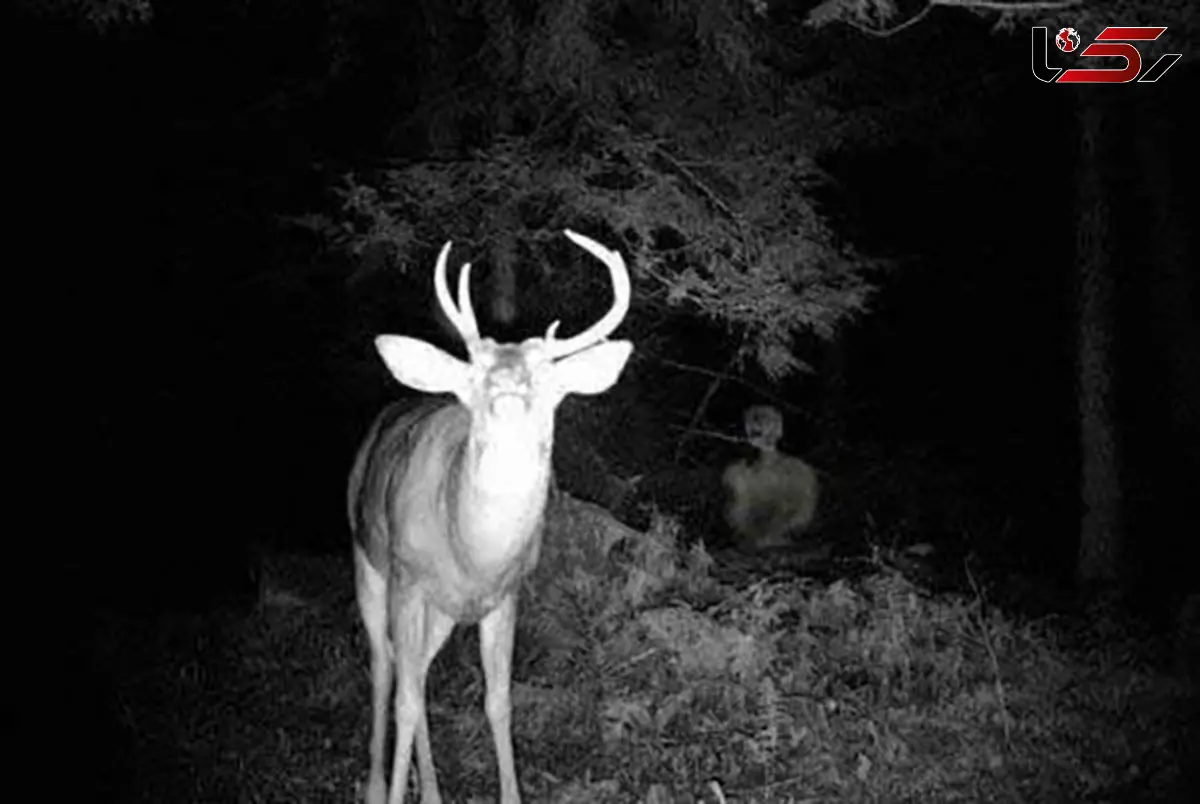 نام های معروف ترین جن ها که مذکر و مونث هستند ! / ریختن آب داغ راهی برای فرار اجنه ...