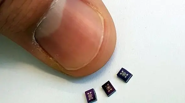 اختراع بینی دقیق تر از بینی سگ برای نجات جان انسان ها در حوادث