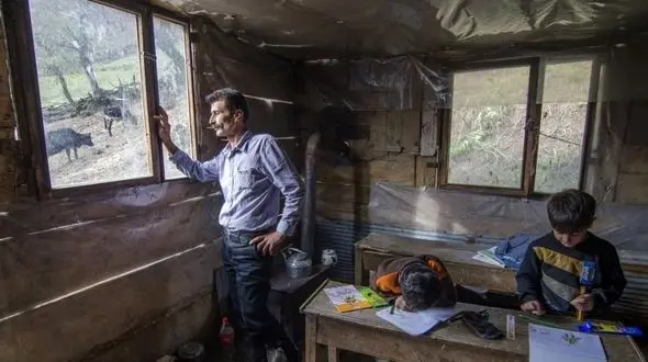 شرایط اجباری شدن سواد در ایران چگونه است؟ 