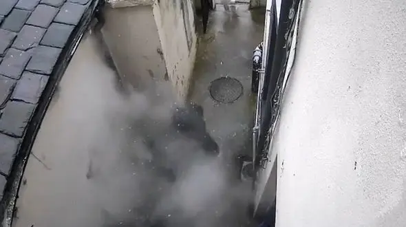 فیلم غافلگیری صاحبخانه بی اعصاب را ببینید / با آبجوش فراری اش دادند