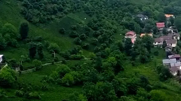 از ویدیویی کوتاه از برداشت چای در گیلان تا مقبره شیخ زاهد واقع در لاهیجان 