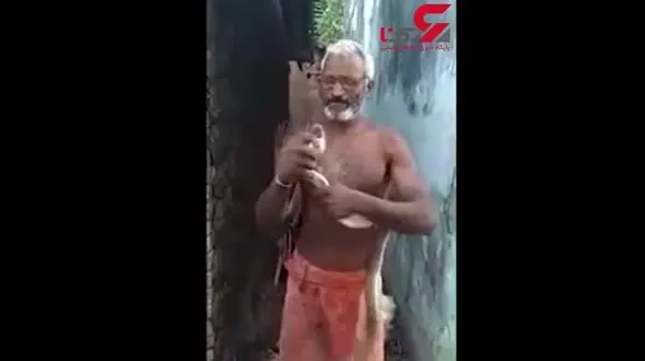 حیوان آزاری هولناک یک مار کبری + فیلم