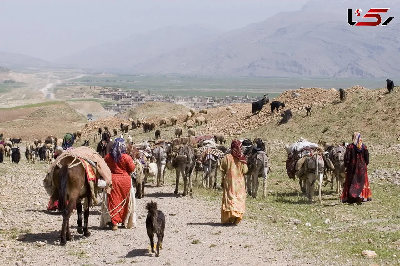 دولت سیزدهم سه هزار و ۱۱۶ خانوار جدید بیمه اجتماعی شده است/ لرستان هفتمین استان کوچ نشین کشور