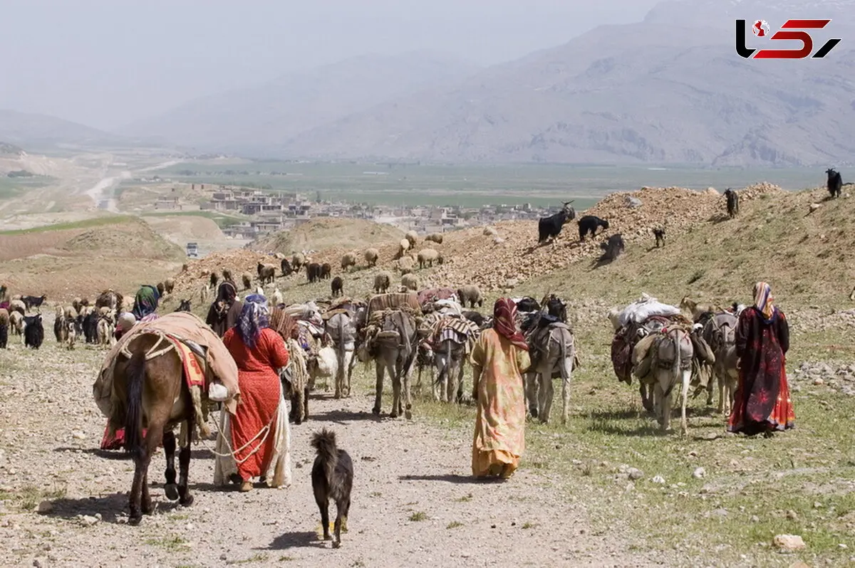 دولت سیزدهم سه هزار و ۱۱۶ خانوار جدید بیمه اجتماعی شده است/ لرستان هفتمین استان کوچ نشین کشور